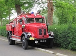 Oldtimerdag Vianen