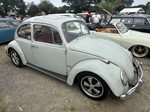 European Bug In (Chimay)