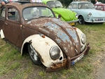 European Bug In (Chimay)