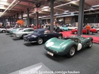 Antwerp Collection Cars